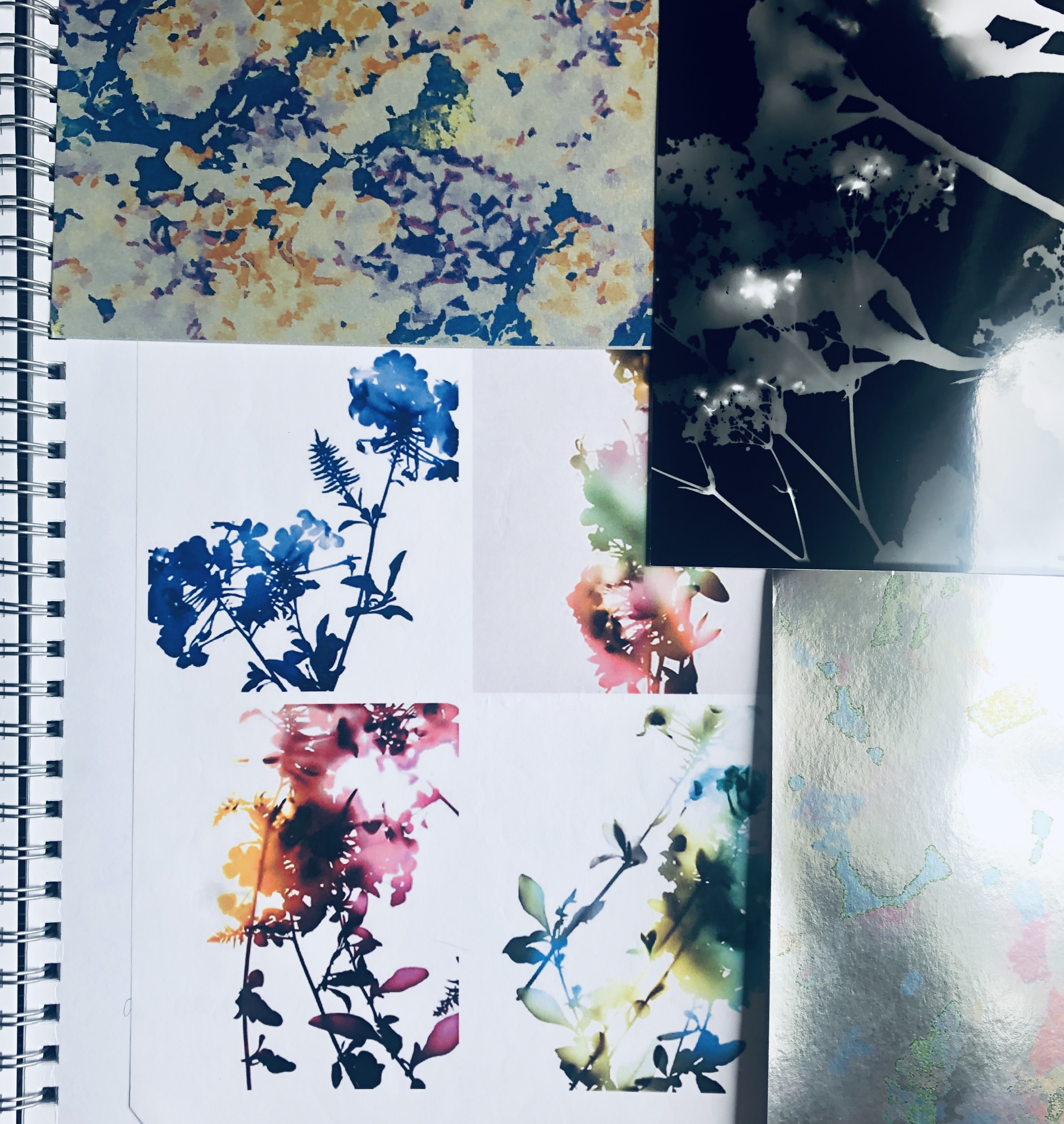 sketchbook of floral photography inspiration